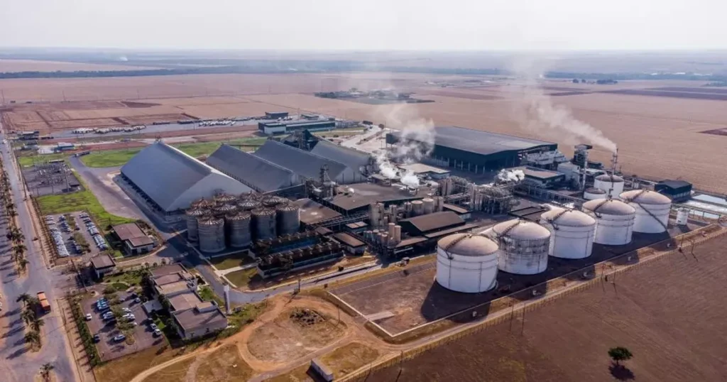 Usina de biomassa fonte e energia renovável
